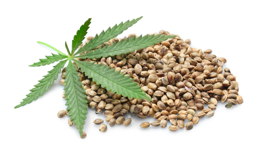 100% Pure Hemp Seed Oil